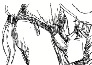 Page 1445 of Gundam Collection - preview thumbnail