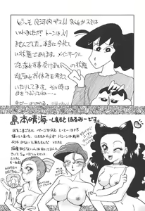 Page 1999 of Sailor Moon Collection - preview thumbnail