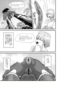 Page 18 of Dankon no Ethnography -Malakovia no Sei to Haisetsu- - preview thumbnail