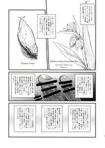 Page 10 of Dankon no Ethnography -Malakovia no Sei to Haisetsu- - preview thumbnail