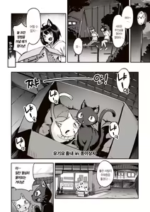 Page 122 of Tabegoro Bunny Hatsujouchuu - A Bunny Girl in Heat  | 농익은 바니 발정중♥ - preview thumbnail