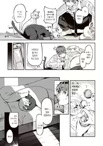Page 125 of Tabegoro Bunny Hatsujouchuu - A Bunny Girl in Heat  | 농익은 바니 발정중♥ - preview thumbnail
