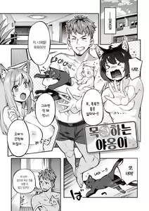 Page 137 of Tabegoro Bunny Hatsujouchuu - A Bunny Girl in Heat  | 농익은 바니 발정중♥ - preview thumbnail