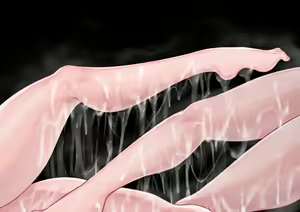 Page 65 of ●PIXIV● tzo - preview thumbnail