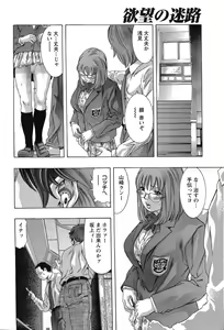 Page 149 of Yokubou no Meiro - A maze of desire - preview thumbnail