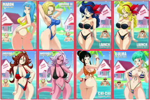 Page 29 of Bulma Briefs Collection - preview thumbnail