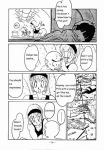 Page 241 of Bulma Briefs Collection - preview thumbnail
