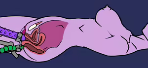 Page 19 of BUSThaMOVE - preview thumbnail