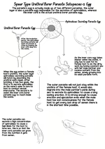 Page 24 of Parasite Series The Neighbors - preview thumbnail