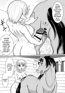 Page 13 of Tensei shitara Futanari Uma ni Narimashita Kouhen | Reincarnated as a Futanari Horse Second Part - preview thumbnail