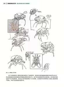 Page 243 of 蝈蝈的概念艺术 商业游戏概念设计流程解析 - preview thumbnail