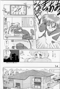 Page 13 of Submission Venus - preview thumbnail