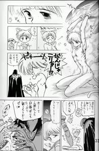 Page 32 of Submission Venus - preview thumbnail