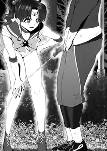 Page 809 of sen1000 Part 4 - preview thumbnail