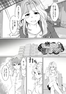Page 3 of Onee-sama to Saimin Pet - preview thumbnail