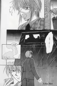 Page 13 of Liebespaar - preview thumbnail