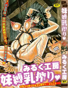 Imouto Bakunyuu Shibori — hentai manga cover on Fhentai