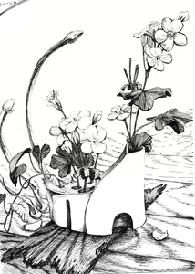 Page 141 of ●PIXIV● cluseller＠鉱物画集 - preview thumbnail