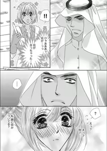 Page 11 of Ore-sama Seek no Hanayome Dorei 1 - preview thumbnail