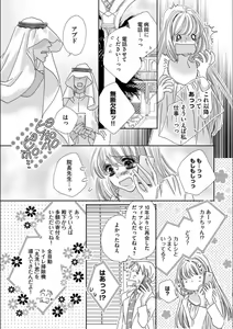 Page 17 of Ore-sama Seek no Hanayome Dorei 1 - preview thumbnail