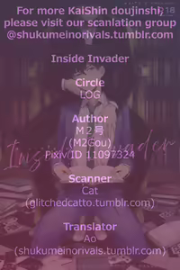 Page 51 of Inside Invader - preview thumbnail
