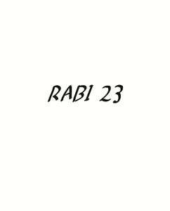 Page 2 of rabi23 - preview thumbnail