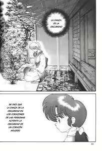 Page 63 of Ambi 1/2 - preview thumbnail