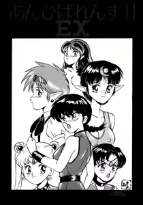 Page 89 of Ambi 1/2 - preview thumbnail