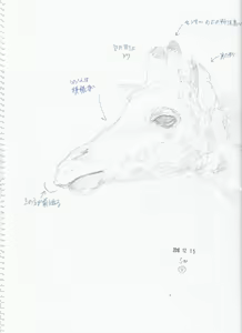 Page 128 of case - preview thumbnail