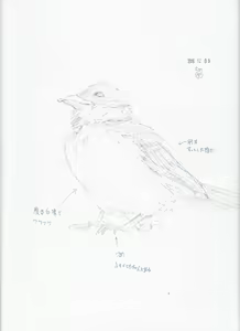 Page 132 of case - preview thumbnail