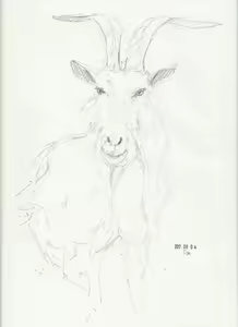 Page 1603 of case - preview thumbnail