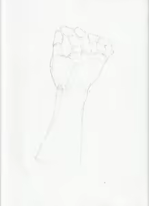 Page 177 of case - preview thumbnail