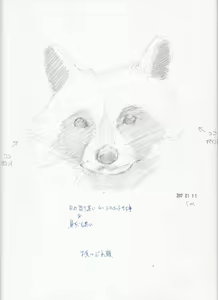 Page 191 of case - preview thumbnail
