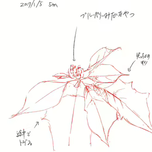 Page 194 of case - preview thumbnail
