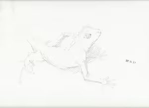 Page 291 of case - preview thumbnail