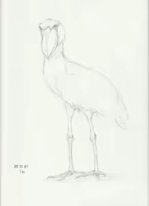 Page 457 of case - preview thumbnail