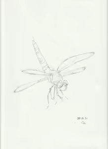 Page 471 of case - preview thumbnail