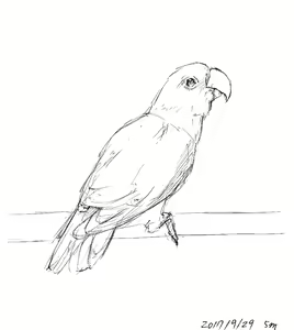 Page 476 of case - preview thumbnail