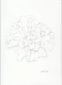 Page 966 of case - preview thumbnail