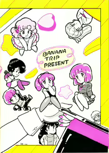 Page 29 of B-WAVE III - preview thumbnail