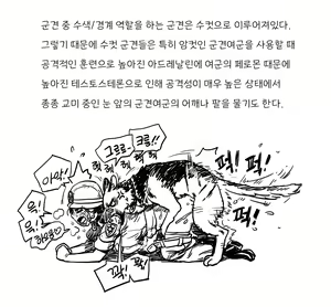 Page 884 of Artist archive: GOGOCHERRY - preview thumbnail