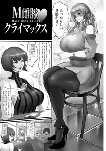 Page 11 of Injoku Higyaku no Anatomia - preview thumbnail