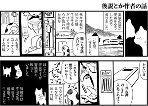 Page 1609 of CHIPOKAN FANBOX - preview thumbnail