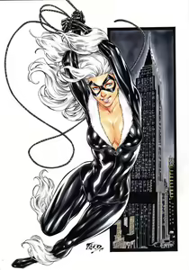 Page 311 of Black Cat - preview thumbnail