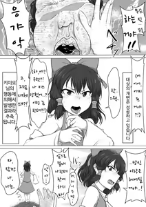 Page 9 of Touhou Kaihen Reimu | 동방 개변 레이무 - preview thumbnail