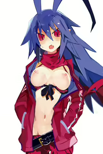 Page 213 of Disgaea Collection - preview thumbnail