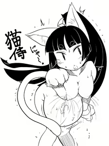 Page 865 of Disgaea Collection - preview thumbnail