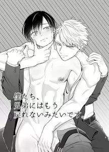 Page 3 of Bokutachi, Kyoudai ni wa Mou Modorenai Mitai desu. - preview thumbnail