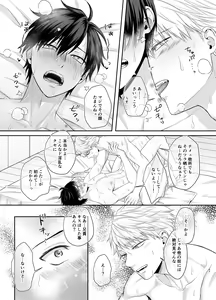 Page 67 of Bokutachi, Kyoudai ni wa Mou Modorenai Mitai desu. - preview thumbnail
