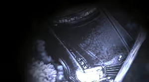 Page 213 of Tsume Ato - preview thumbnail